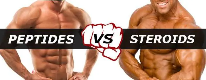 How-Do-Peptides-And-Steroids-Compare.steroidsites.da653